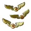 Airlines Crew badges