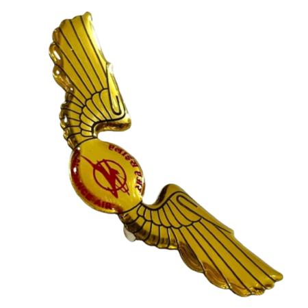 Airlines Crew badge